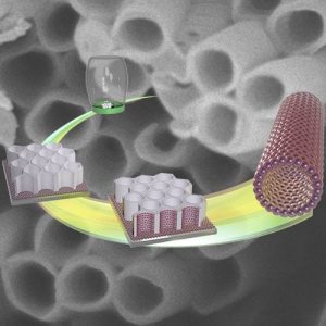 micelle nanotubes