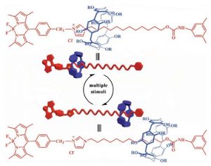 Structure and wheel movement of rotaxane