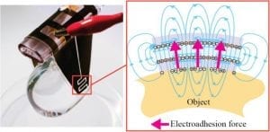 The robotic gripper picking up a water balloon with a scheme clarifying the electroadhesion force responsible for it.