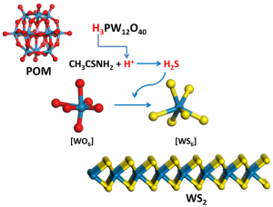 TMD-2D-materials-POMs