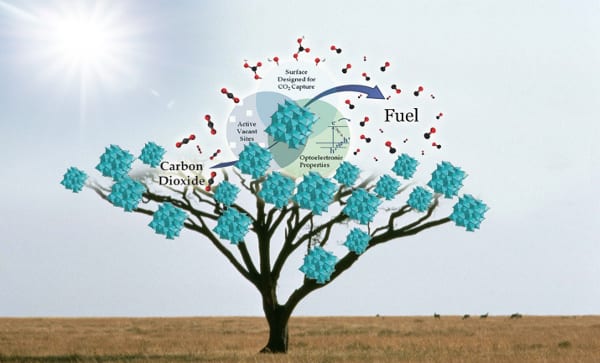 Solar fuels tree. Graphic courtesy of Chenxi Qian.