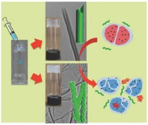 Silver Antibacterial Nanomaterials