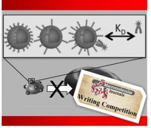 Polymer_based_nanomimics_writing_competition