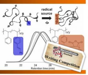 single_chain_nanoparticles_writing competition