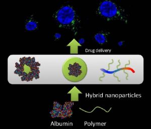 AlbuminPolymer