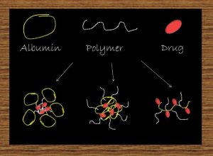 AlbuminPolymer2