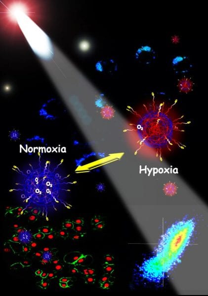 Pdots for cancer sensing and therapy