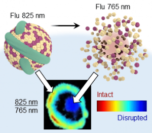 near-infrared-ratiometric-dye