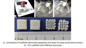 can-polymers-regenerate-teeth