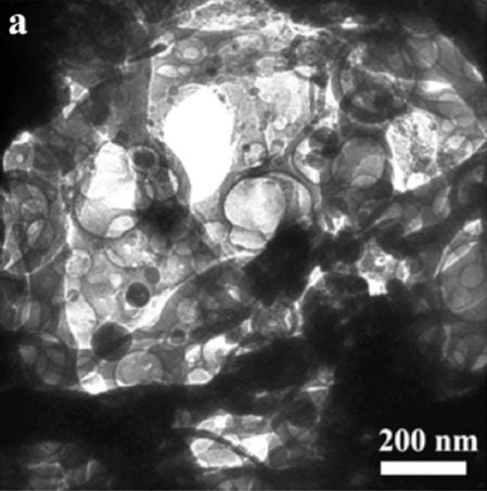 porous structure of photocatalyst