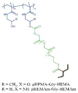 structure_nanogel-01