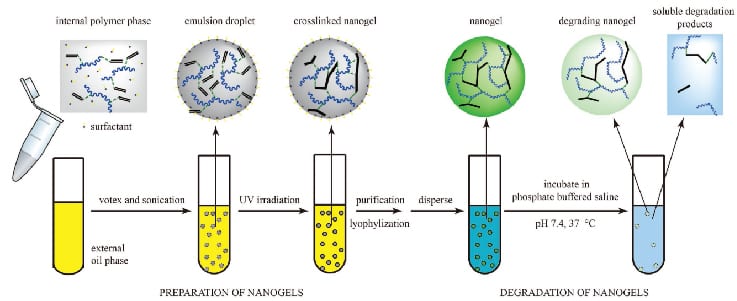 synth_nanogel-01