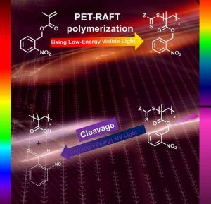 Using light to polymerize a photocleavable monomer