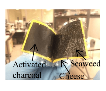 edible-electronics-capacitor-cheese-seaweed
