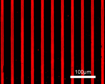 Organic-Electronics-Patterning