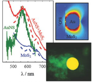 Spectral Characteristics of Noble Metal Nanoparticle–Molybdenum Disulfide Heterostructures