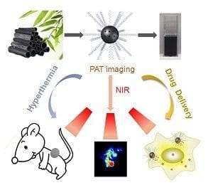 near-infrared drug carrier