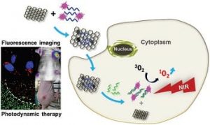 MicroRNA-responsive drug release system