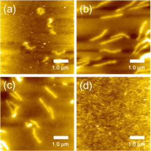 PVP-MBA-nanowire-hydrogel