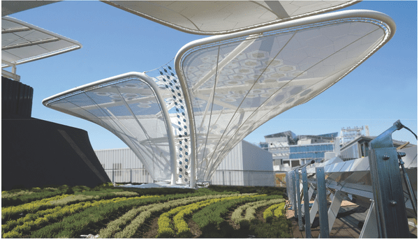 Architectural Highlight – OPV Solar Trees