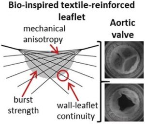 bio-inspired textile reinforced leaflet