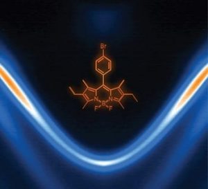 energetic distribution of polariton states