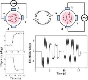 nanofibres perform strong optical anistropy