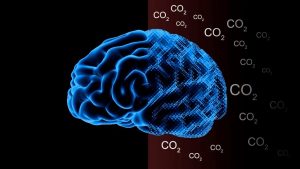 ozin_co2-on-the-brain-v3img1-docx