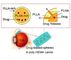 drug-loaded-spheres-in-poly-hema-carrier