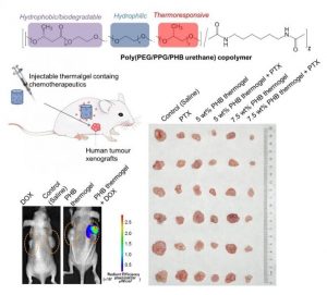 injectable-hydrogels-for-chemotherapy