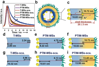 photocatalysis