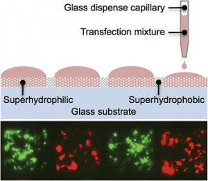 ultrahigh-density-cell-microarry