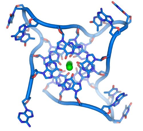 DNA-Inspired Polymer Design