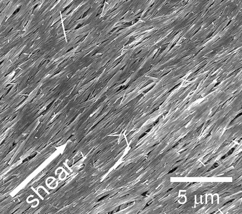 ZnO nanowires and polythiophenes