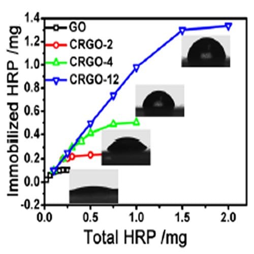 Highly Active Enzymes on Graphene Oxide Surface