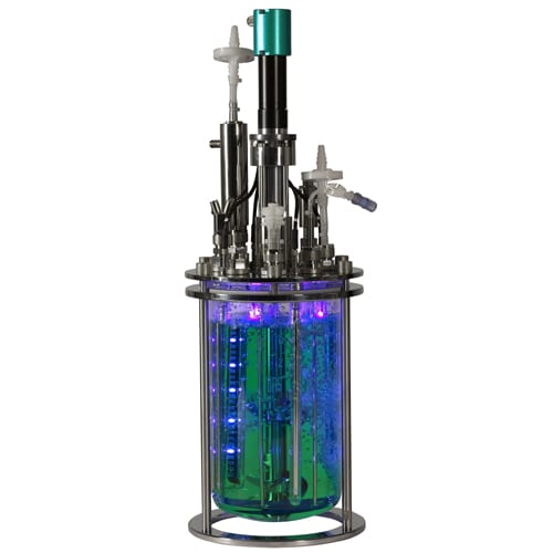 algae biofuel LED reactor