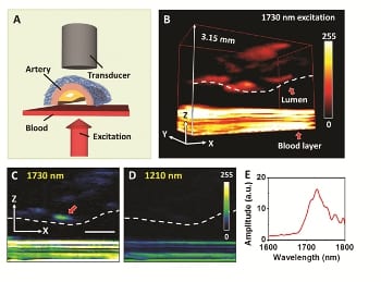 biological spectroscopy