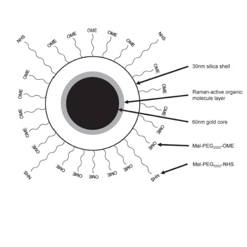 Nontoxic Nanoparticles