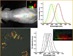 Aqueous phase synthesis of CdTe quantum dots for biophotonics