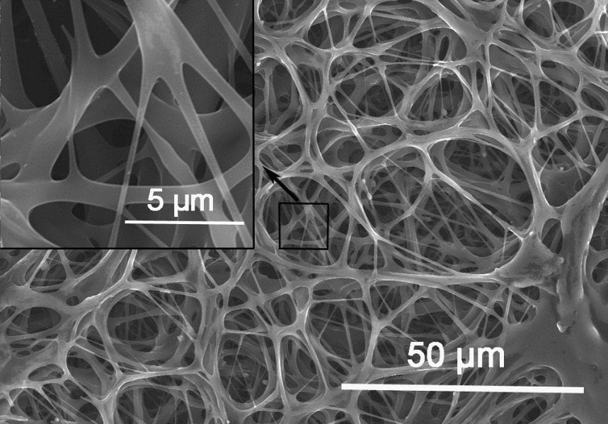 Eggshells for Electronics: Portable Supercapacitors