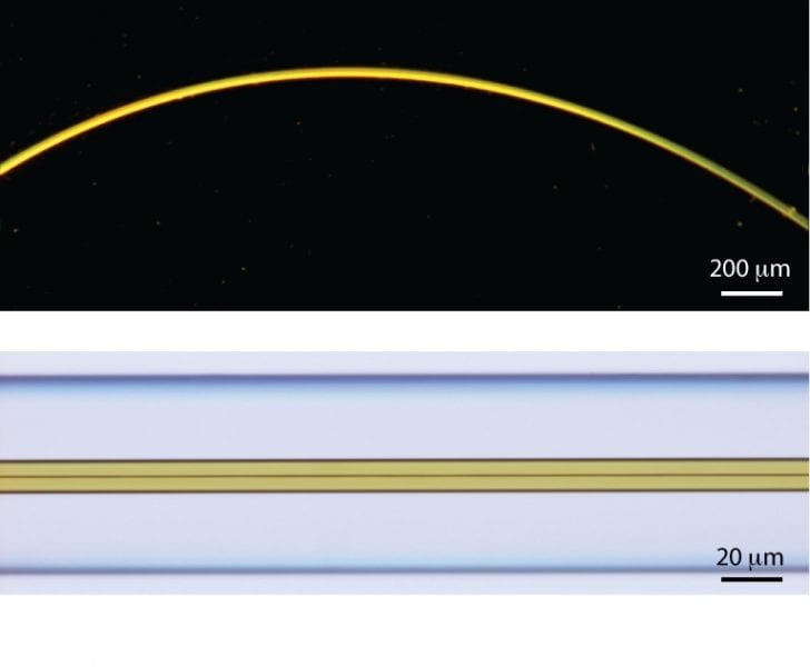 Optical Fiber Waveguides