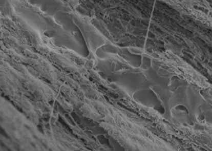 Giving recycling teeth: polylactic acid with nanofiber strengthening