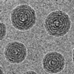 Onion Skin Structures in Poly(ionic liquid) Nanoparticles