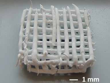 Reactive Fillers to Produce Wollastonite Bioceramics