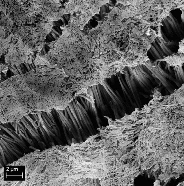 Polymer adhesives: Teflon made sticky