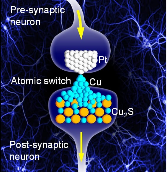 Building Artificial Brains: Nanotechology to Mimic Synapses