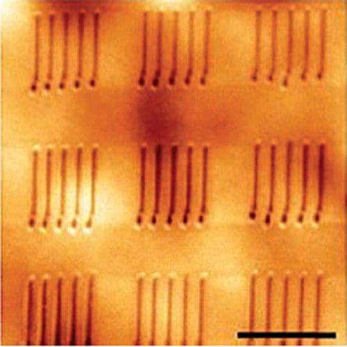 Any Shape, Any Substrate Ferroelectric Materials