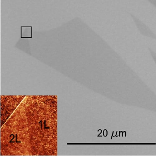 How to Spot Monolayers