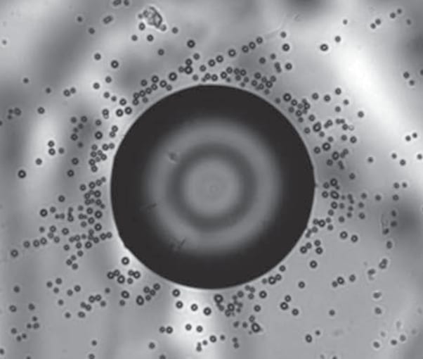 Breaking and Assembling Liquid Crystals