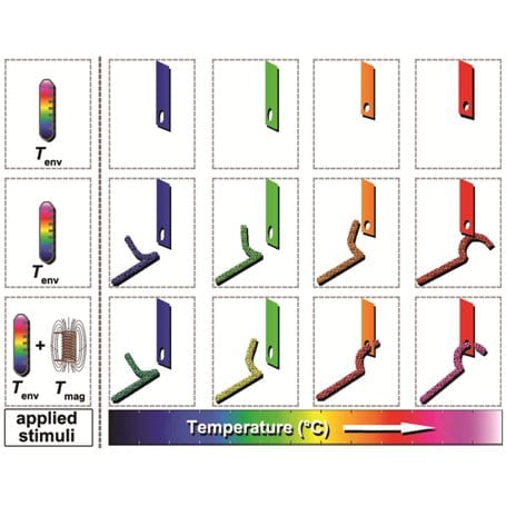 Taking Shape: Metamorphic Nanocomposites